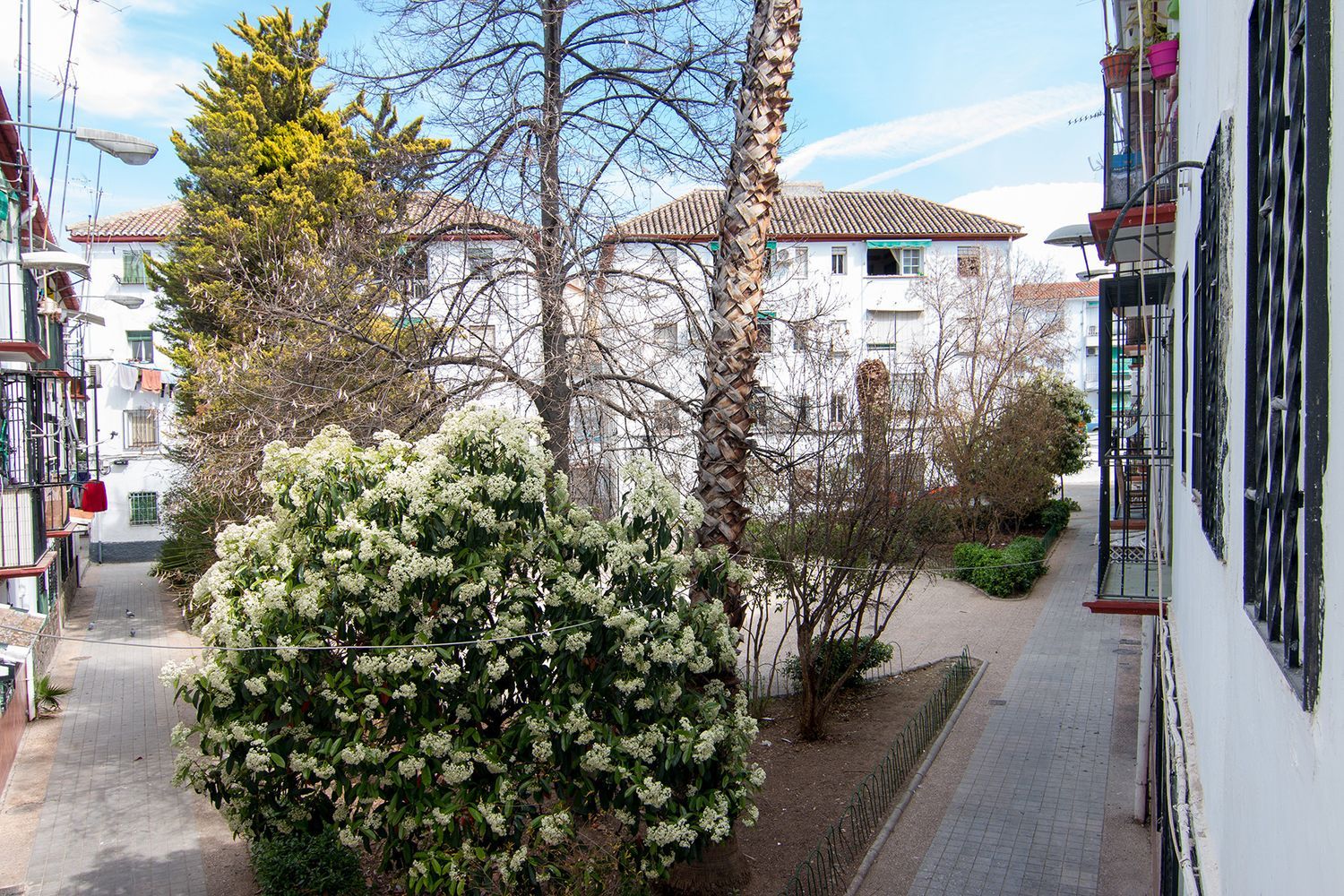 Piso en calle Maestro Moreno Torroba, 4 - Foto 30