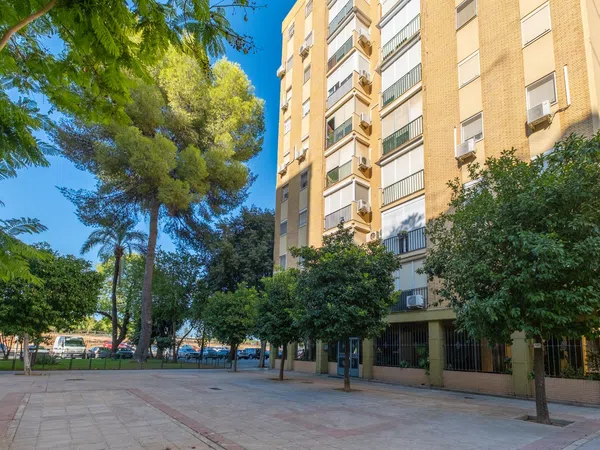 Piso en Calle Carroceros, 8, Pino Montano - Foto 20