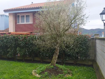 Chalet en  Barrio Rivas 20 - Foto 4