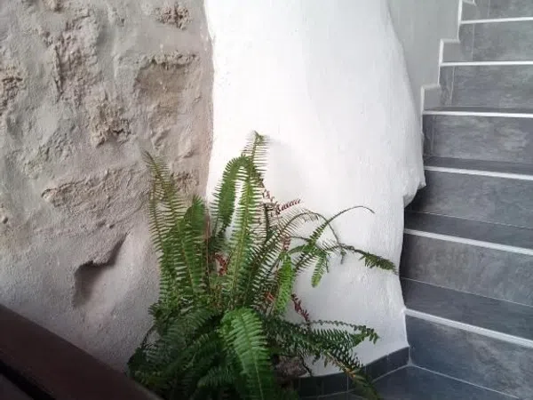Casa de pueblo en Plaza Pedro Parias, 5 - Foto 9
