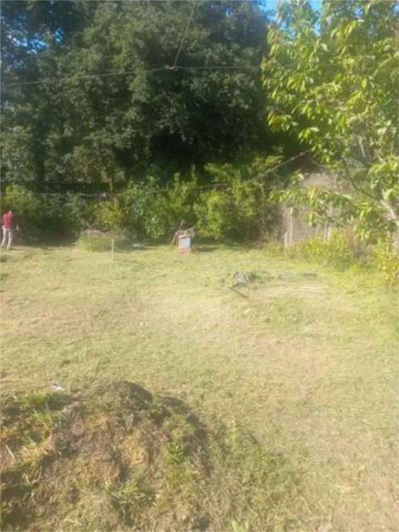 Chalet en Centro - Foto 4