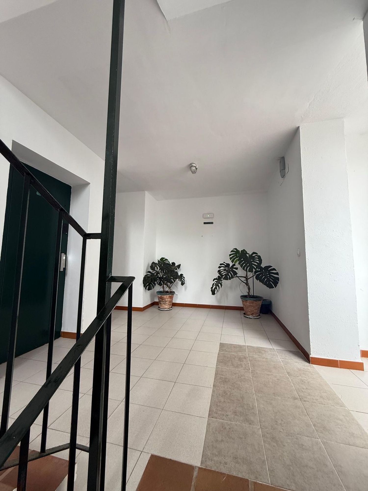 Piso en Sector Palmito, 2, Zona Caño Guerrero - Foto 5