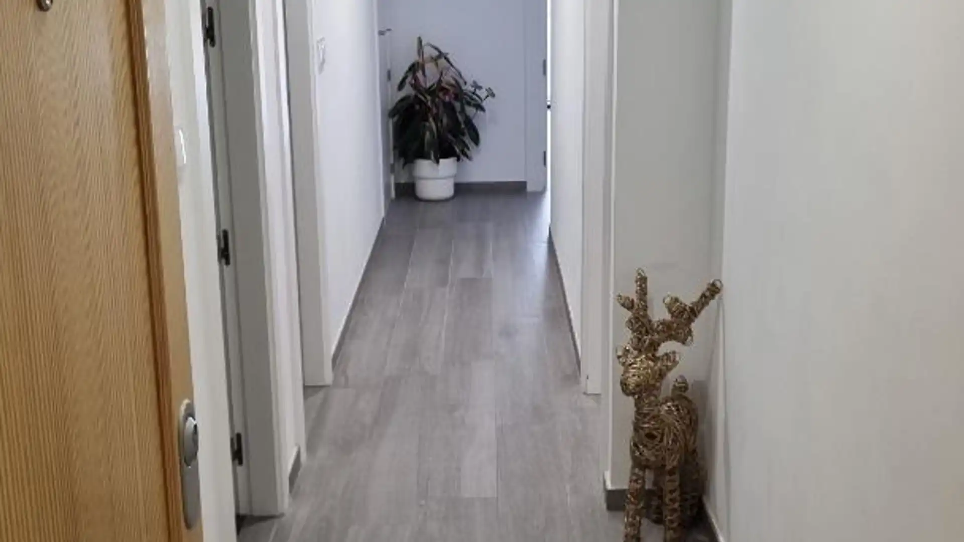 Piso en  Carrer Santa Rita 2 - Foto 17