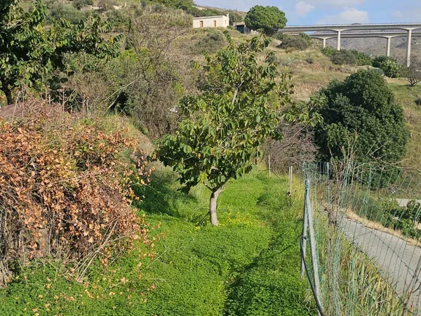 Casa rural en Diseminado Bco Itrabo Pol 25, 131 - Foto 25