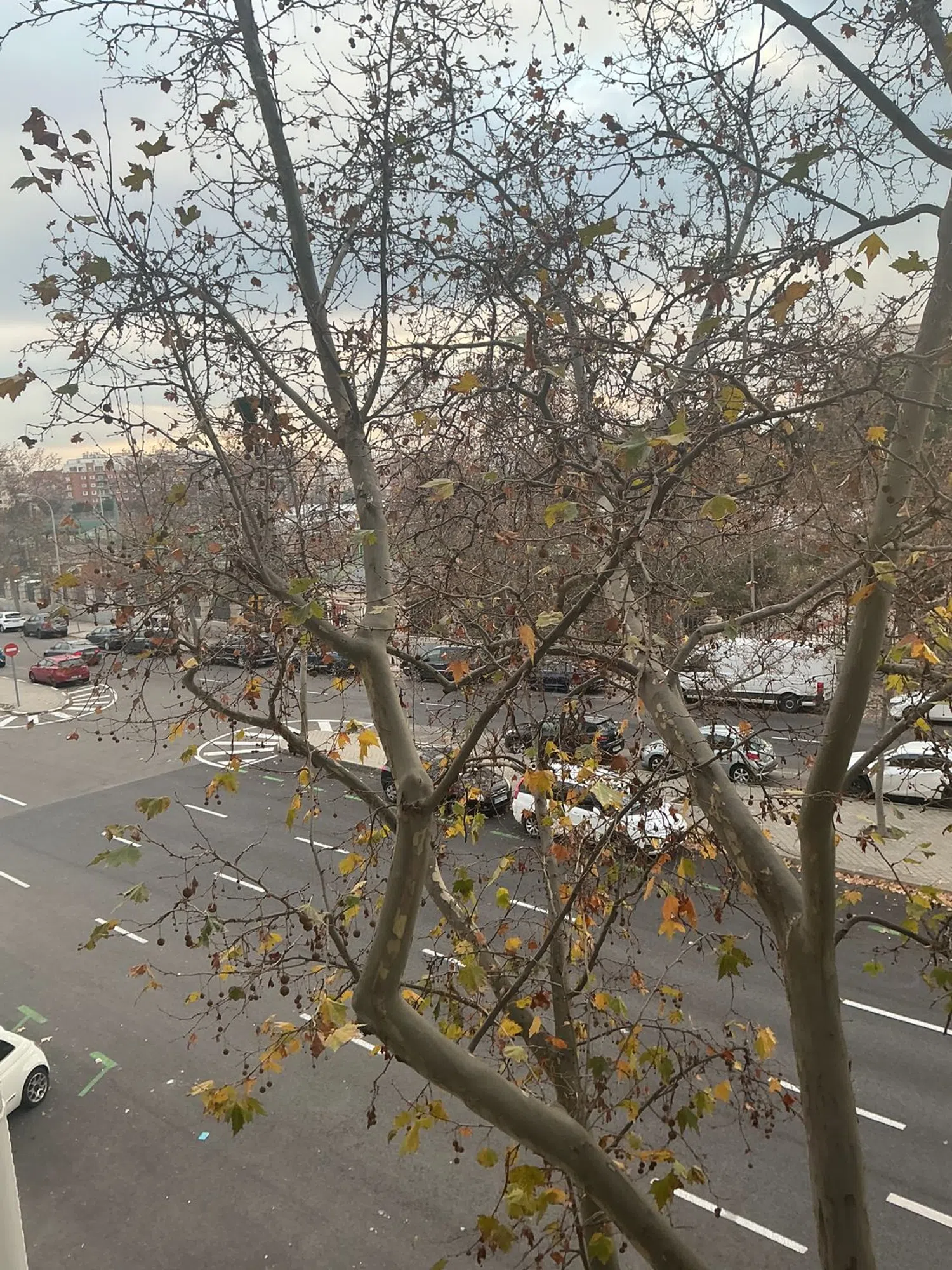 Piso en calle del Marqués de Lema, 7 - Foto 1