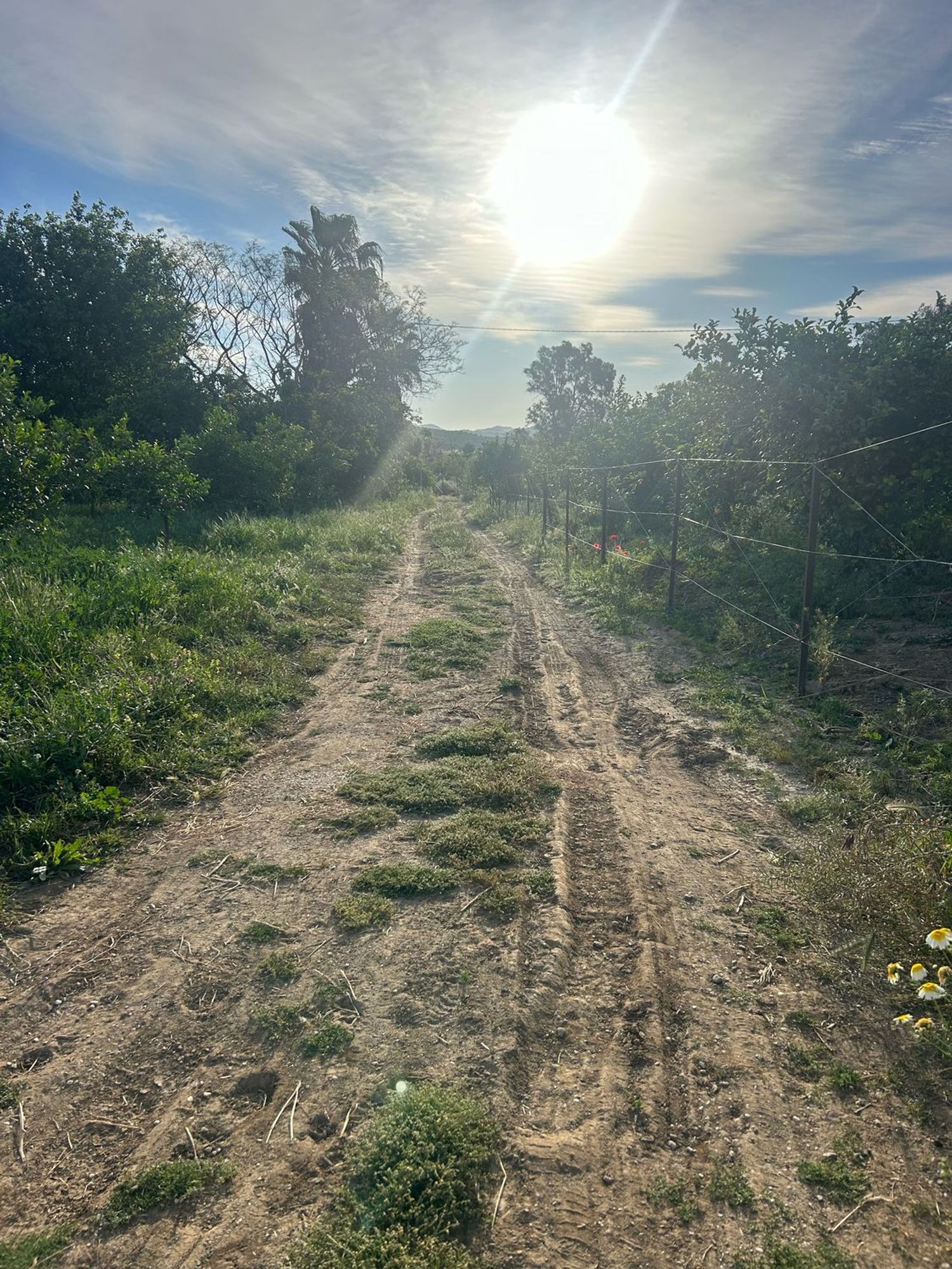 Finca rústica en Diseminado Poligono, 38 - Foto 32