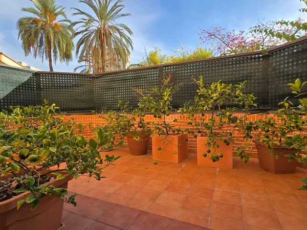 Piso en Calle Migjorn, 5, Alitana - Casablanca - Foto 23