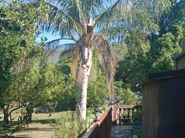 Chalet en  Lugar Mamio 1 - Foto 2