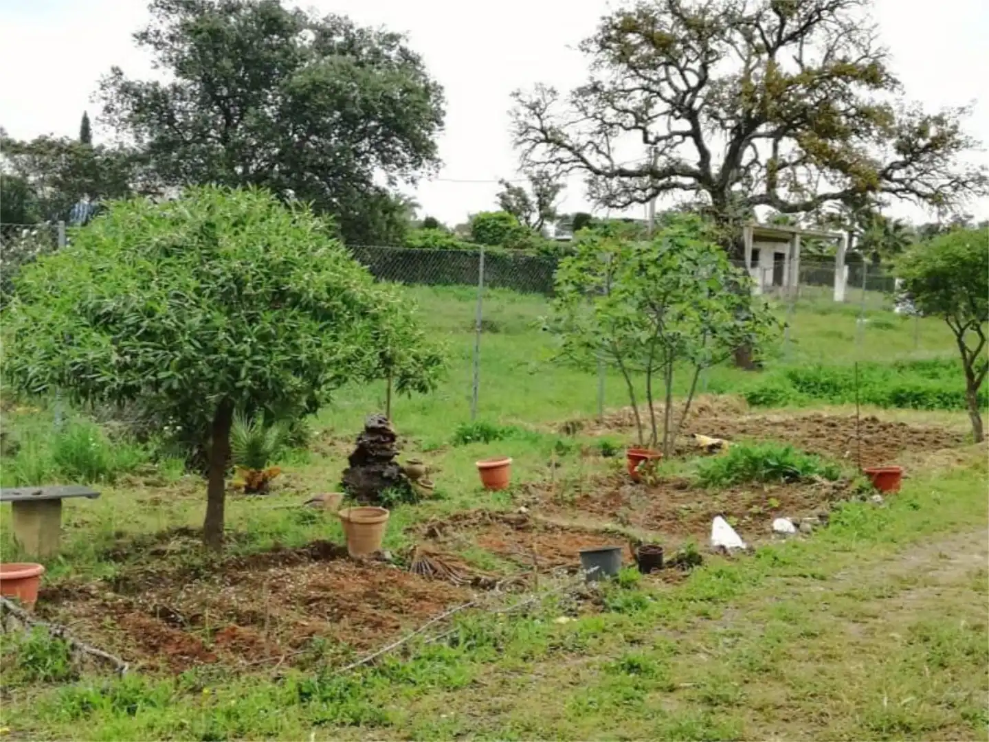 Finca rústica en  Calle Castilblanco de los Arroyos 1 - Foto 2
