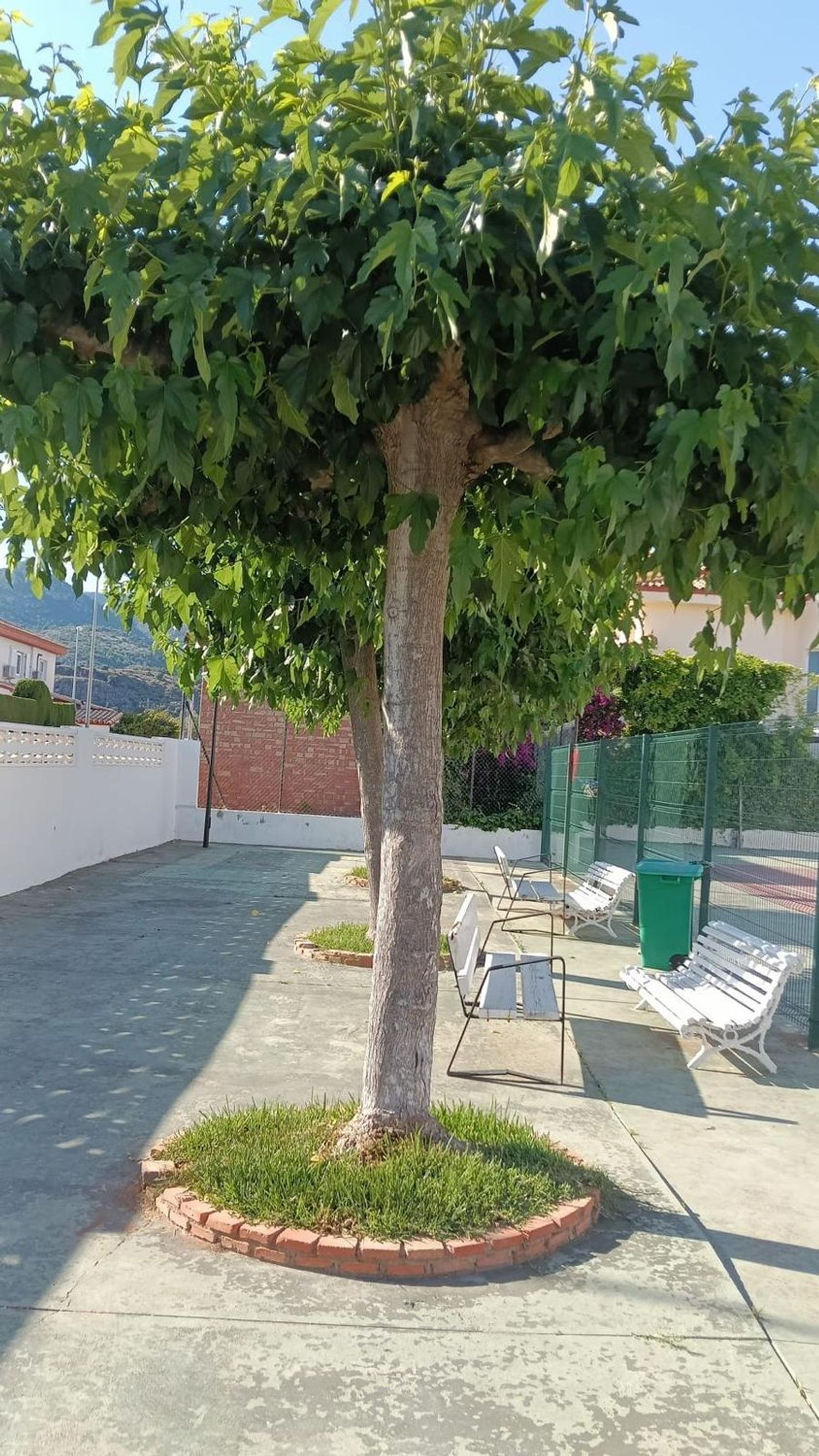 Chalet adosado en Avenida columbretes, 55 - Foto 24