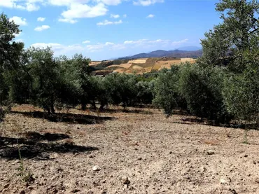 Finca rústica en  Poligono 164 464 - Foto 5
