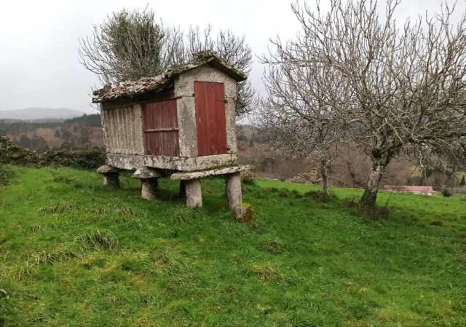 Chalet en Cerdedo - Foto 6