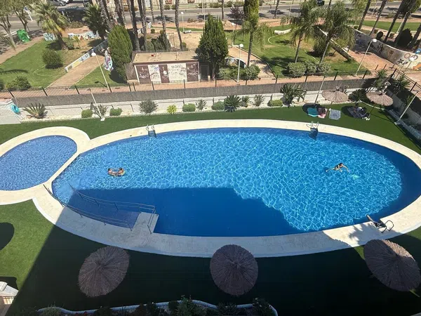 Piso en Avenida Central, 12, Marina Trebol - Neptuno - Foto 1