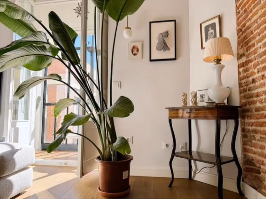 Apartamento en  Calle de San Pedro 21 - Foto 4