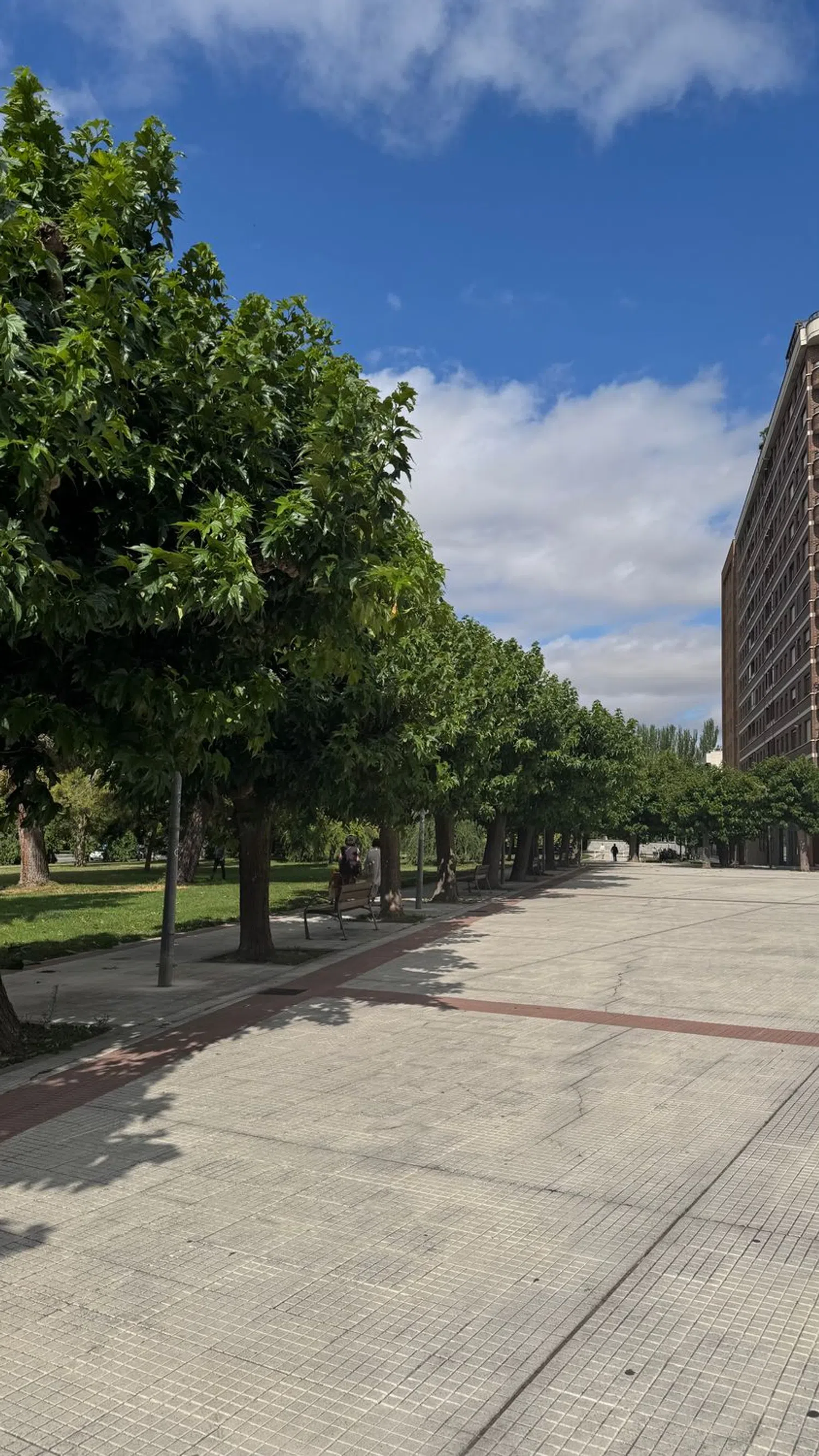 Piso en calle Virgen de Codés, 3 - Foto 19