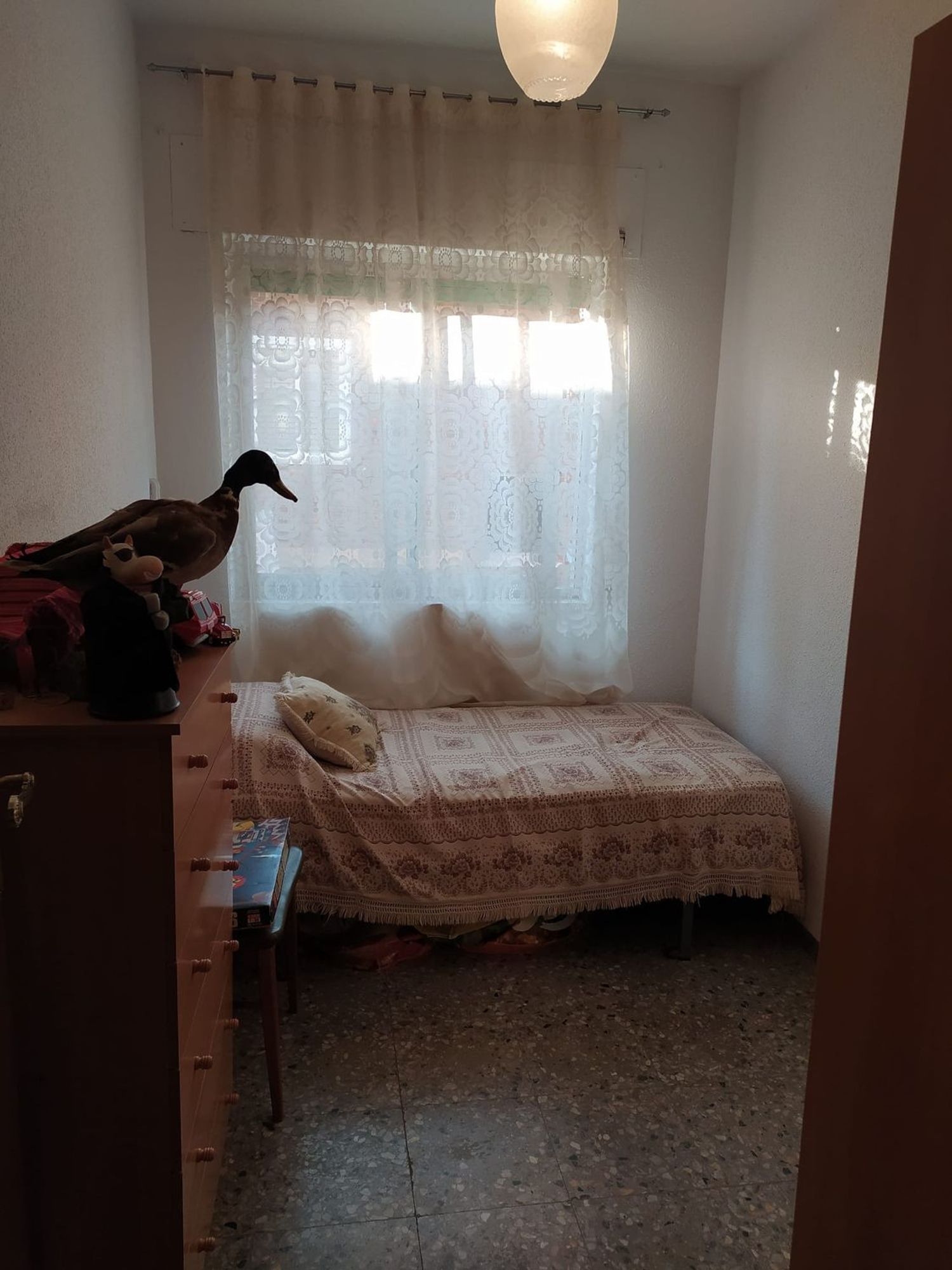 Piso en Doctor Mauro Herrero, 1 - Foto 6