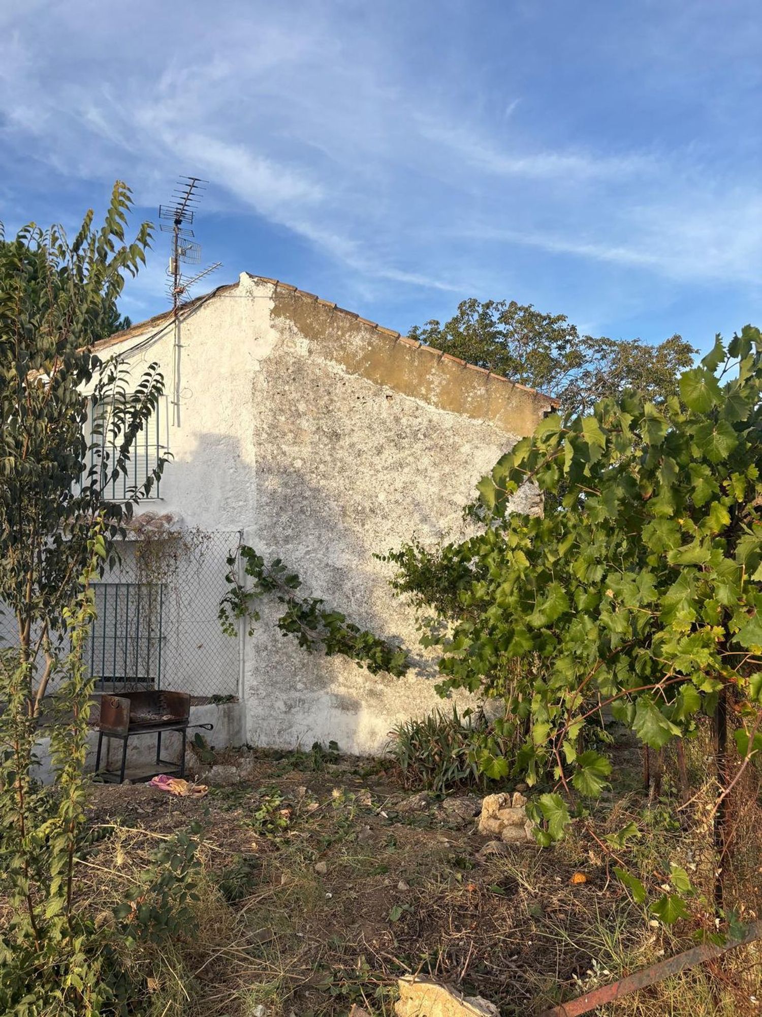 Finca rústica en Camino de Setenil a Alcalá del Valle s/n - Foto 5