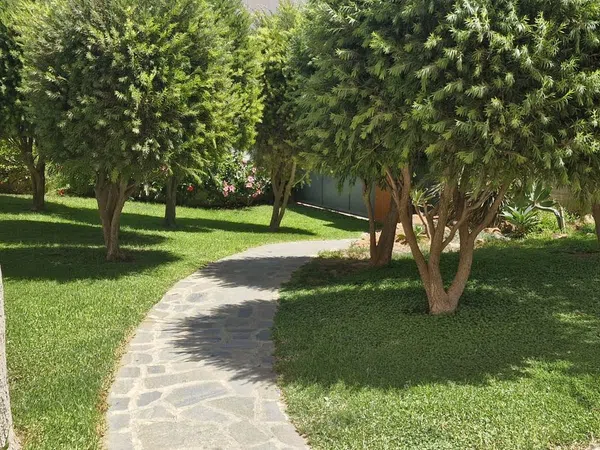 Piso en Calle Mariana Pineda, 4, Barrio San Luis - Los Molinos, Barrio San Luis - Los Molinos - Foto 16