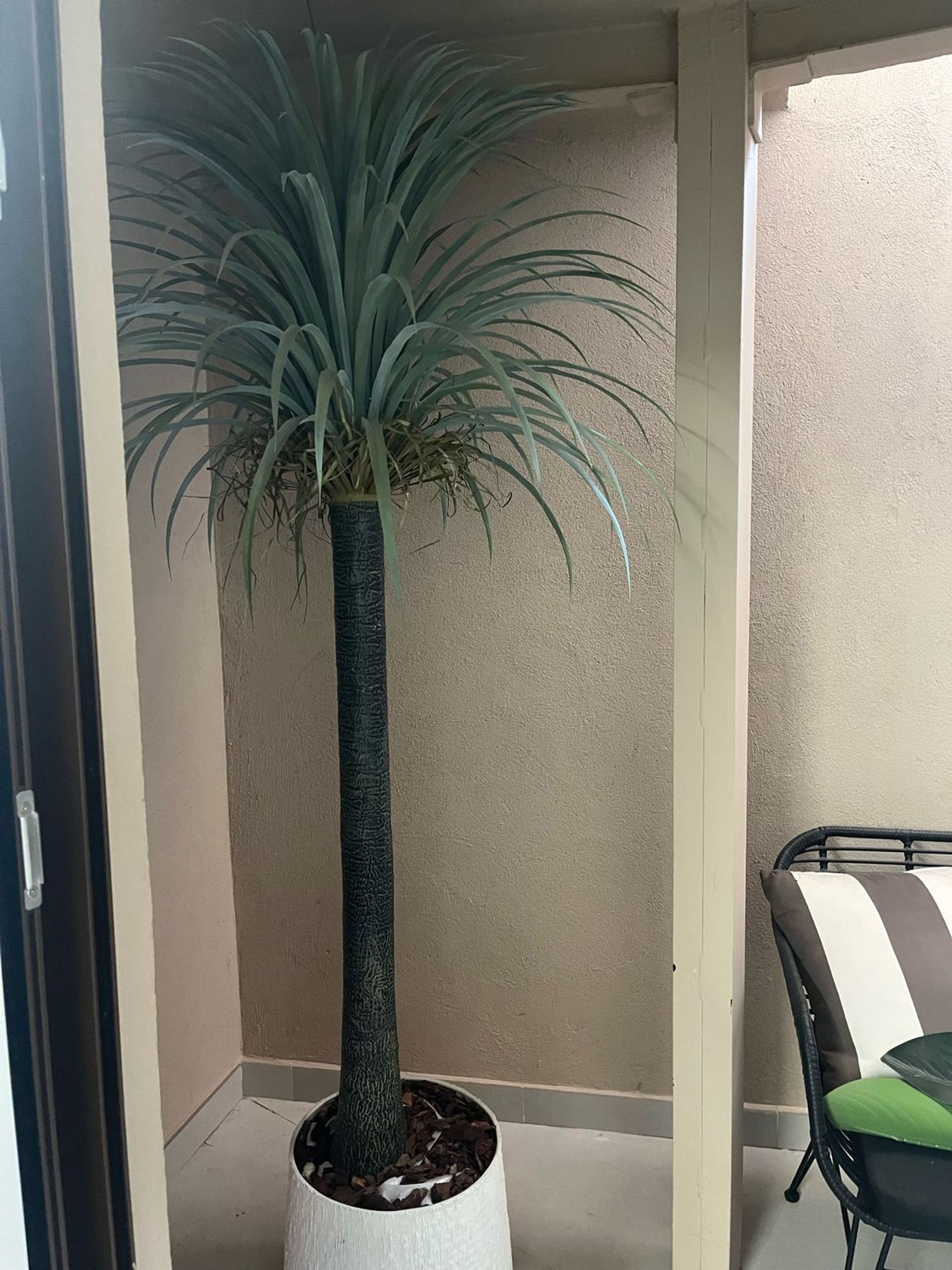 Dúplex en calle de Enrique Calabia, 6 - Foto 30