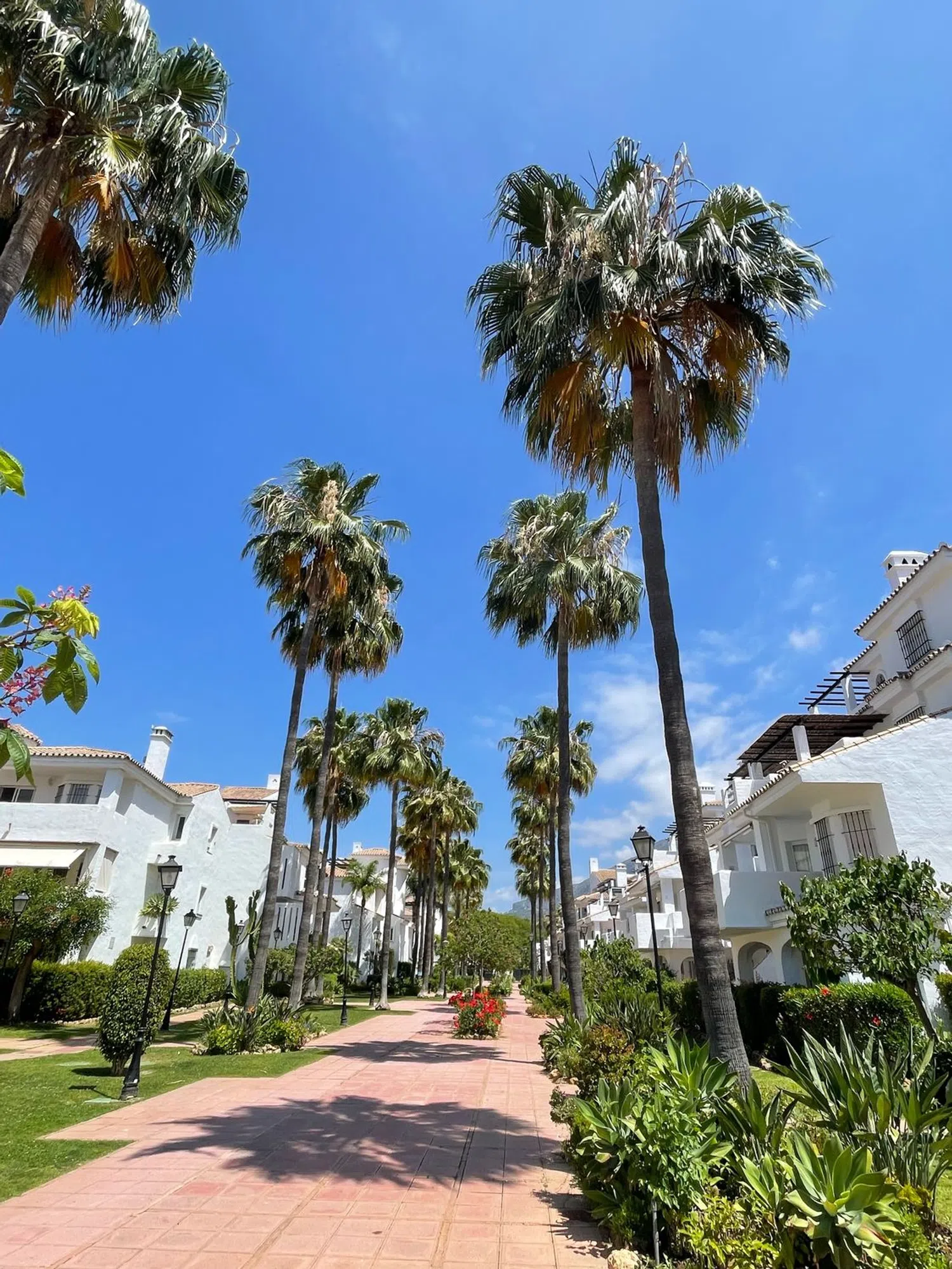 Piso en Urbanización Los Naranjos de Marbella, 88 - Foto 3