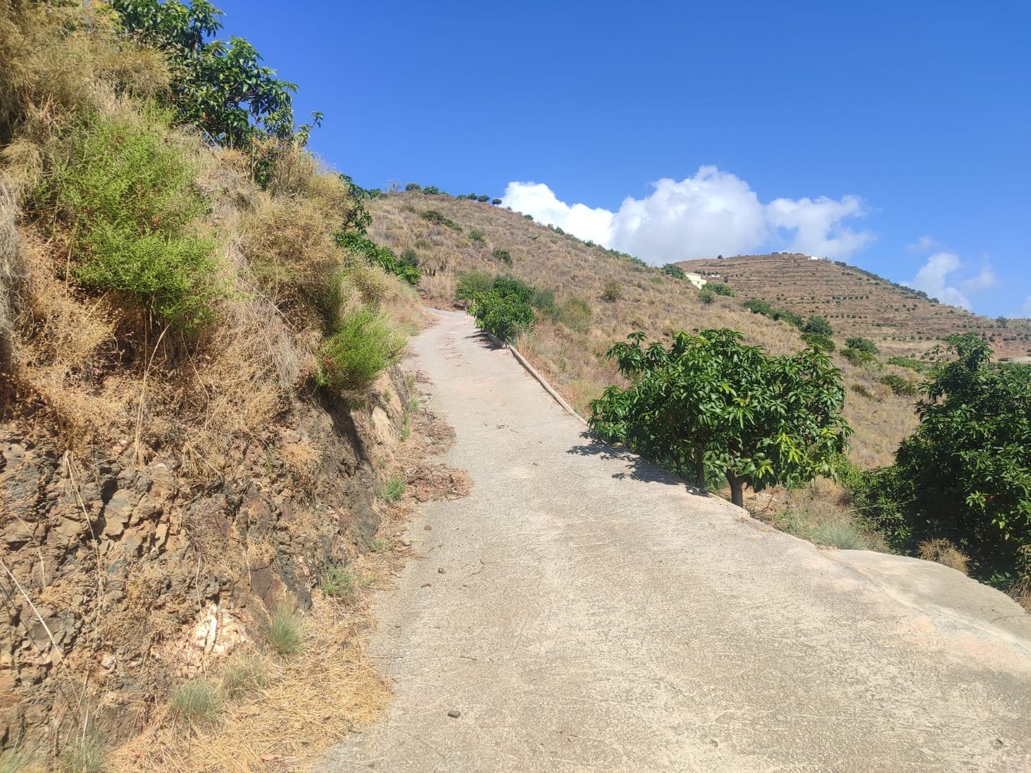 Cortijo en Cortijo en Camino de Río Seco, 36, El Rescate - Río Seco, El Rescate - Río Seco - Foto 25
