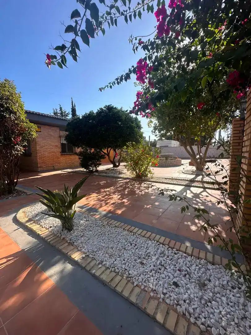 Finca rústica en  Calle Campanilla 2 - Foto 4