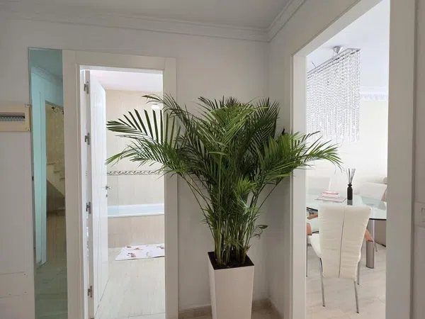 Dúplex en Avenida Condes de San Isidro, 15, Zona Puerto Deportivo, Zona Puerto Deportivo - Foto 21