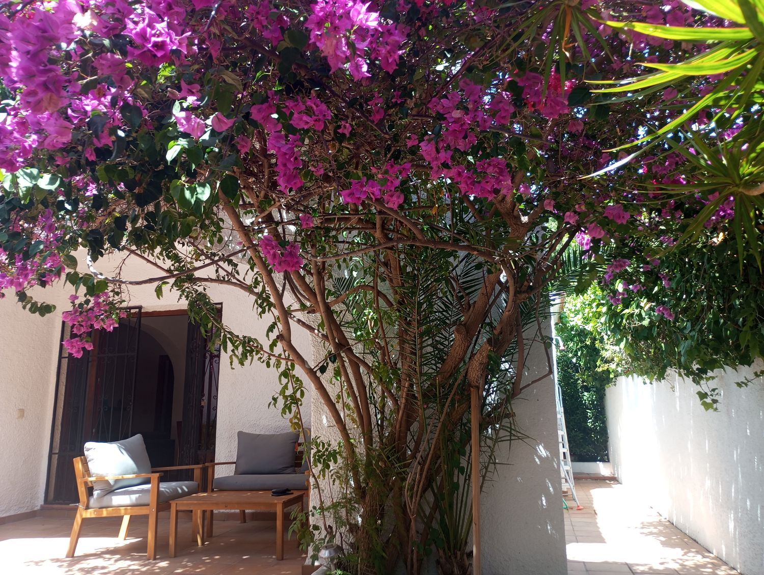Chalet pareado en El Portet-Pla del Mar, El Portet-Pla del Mar - Foto 14