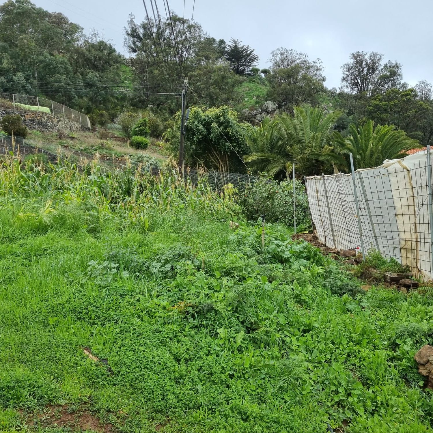 Casa terrera en Desaguaderos, 20 - Foto 10