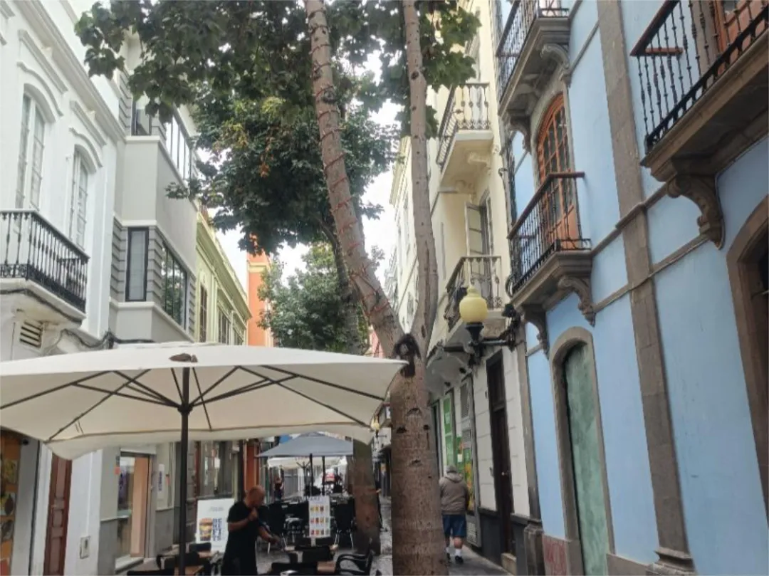 Ático en  Calle de Perdomo 5 - Foto 22