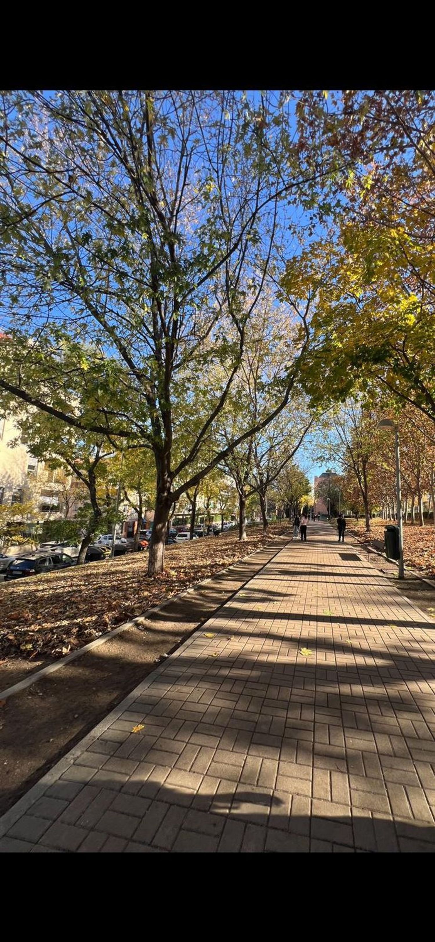 Estudio en calle del Diario la Nación, 19 - Foto 9