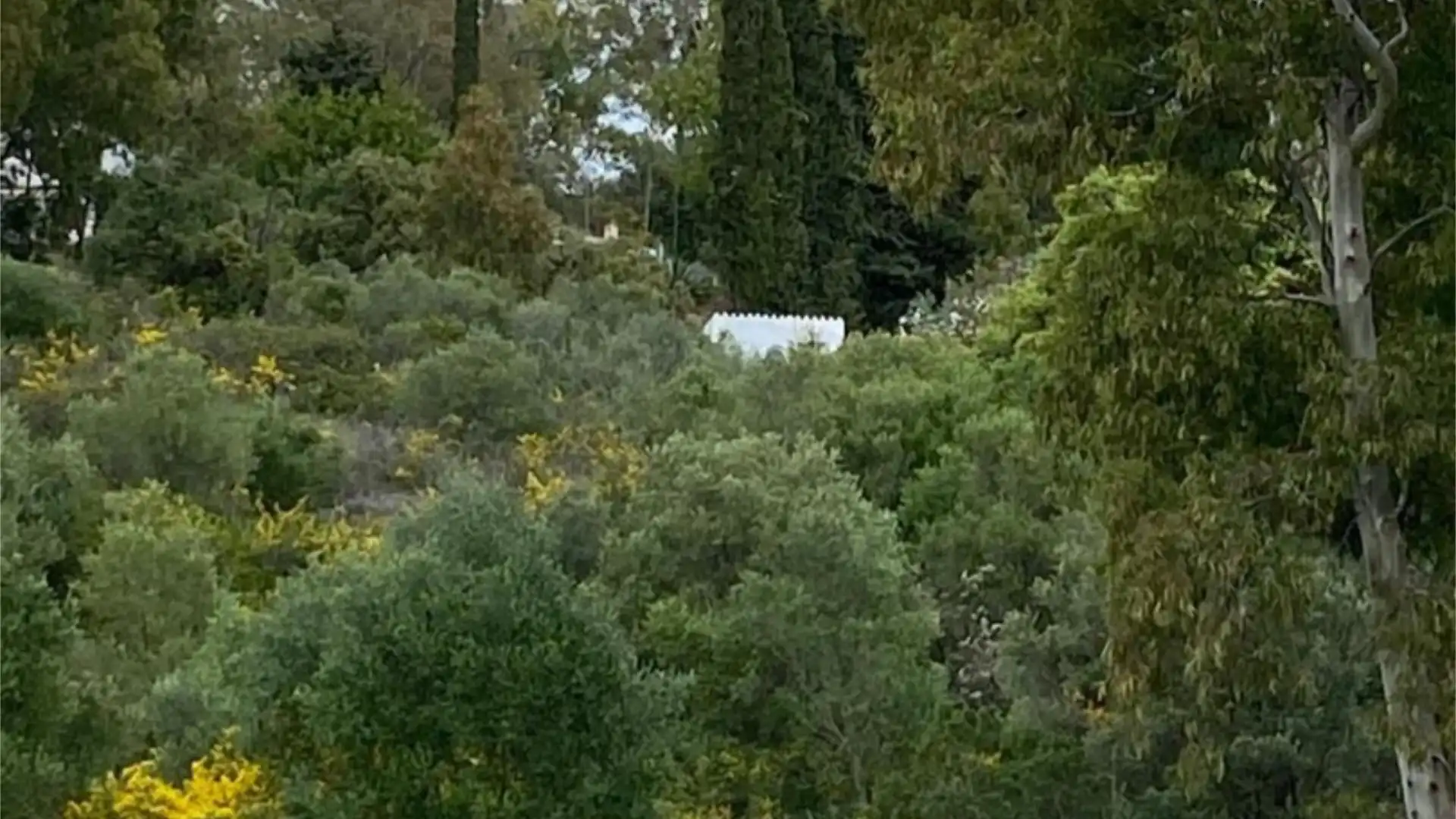 Chalet en  Calle de la Palmera 6 - Foto 50