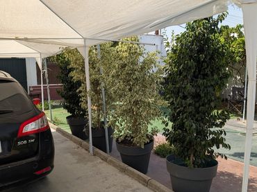 Chalet en  Urbanización Luisas B 32 - Foto 13