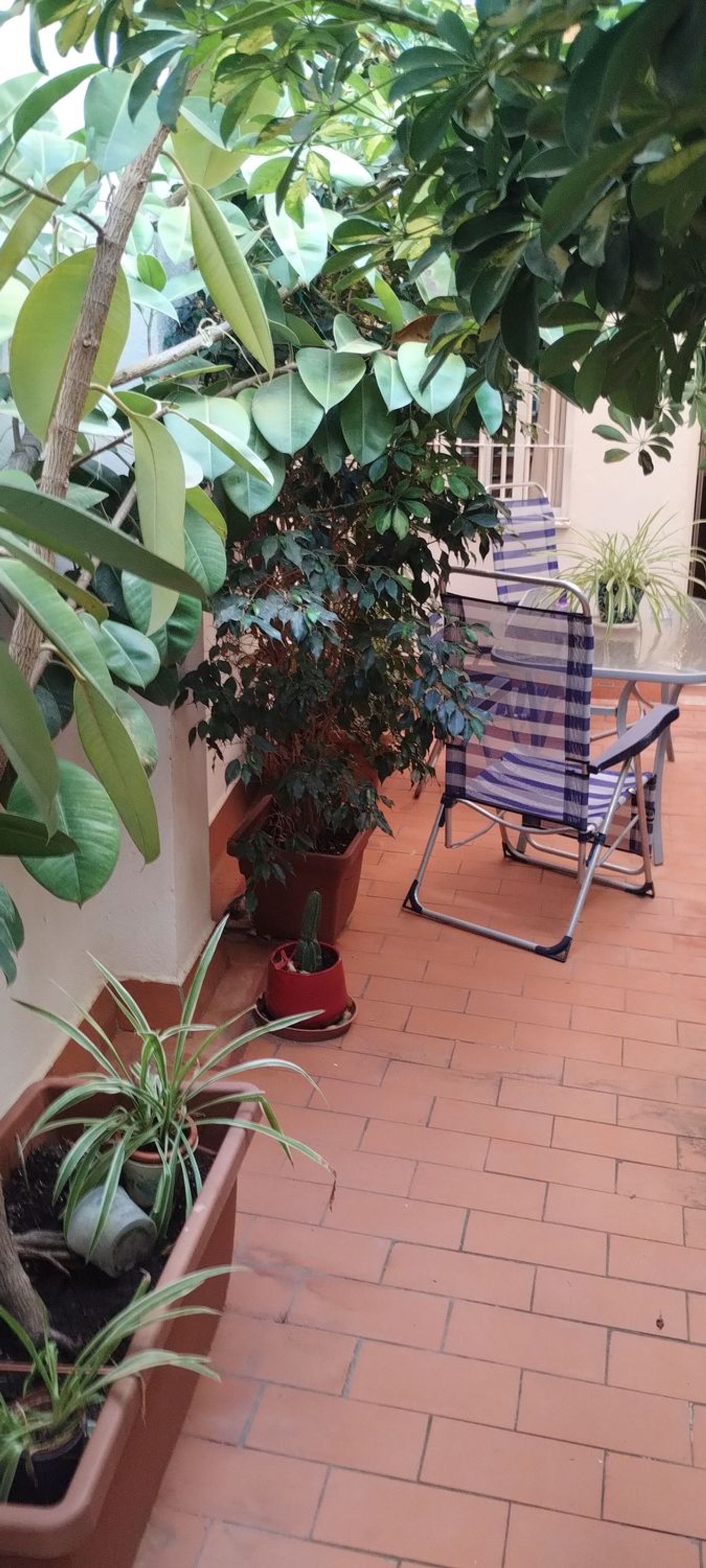 Estudio en Calle Duque de Rivas, 4 - Foto 3