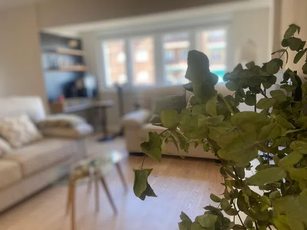 Piso en paseo de Canalejas, 112 - Foto 1