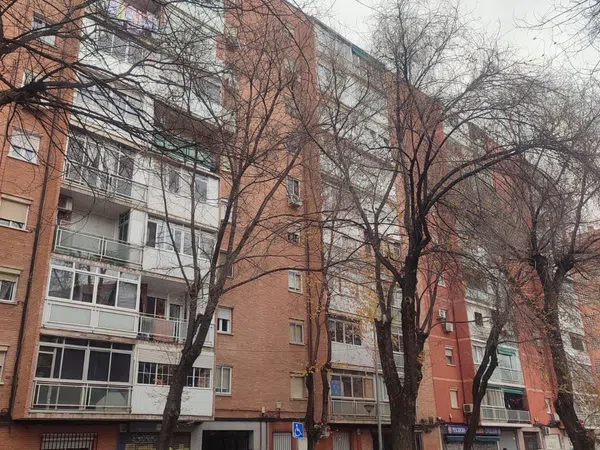 Piso en calle Eduardo Pascual y Cuellar, 6