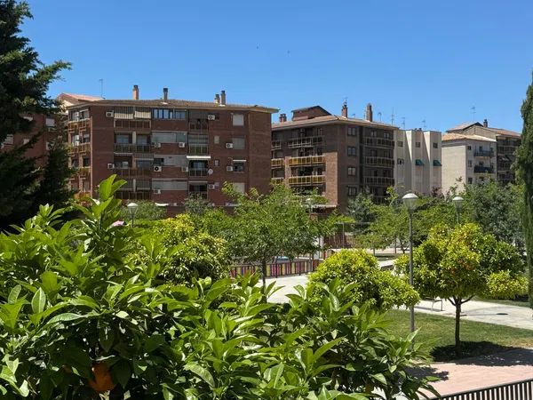 Piso en Calle Alondra, 7, Los Pajaritos - Foto 1