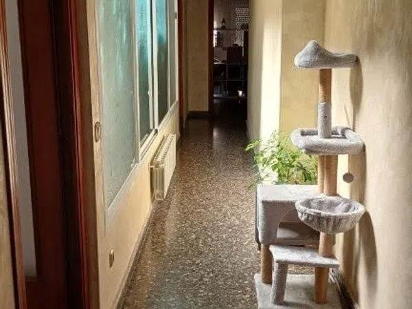 Piso en Carretera de Sant Climent, 85, La Roureda, La Roureda - Foto 12