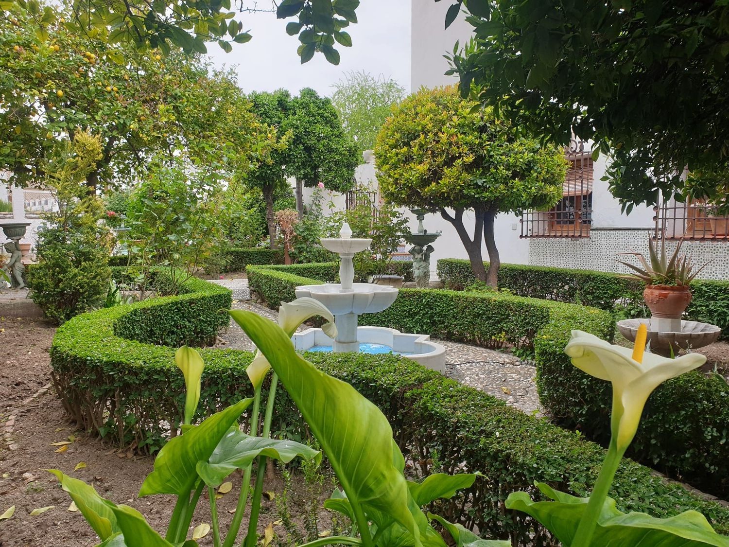 Piso en Calle Algibe de la Vieja, 16, Albaicín, Albaicín - Foto 6