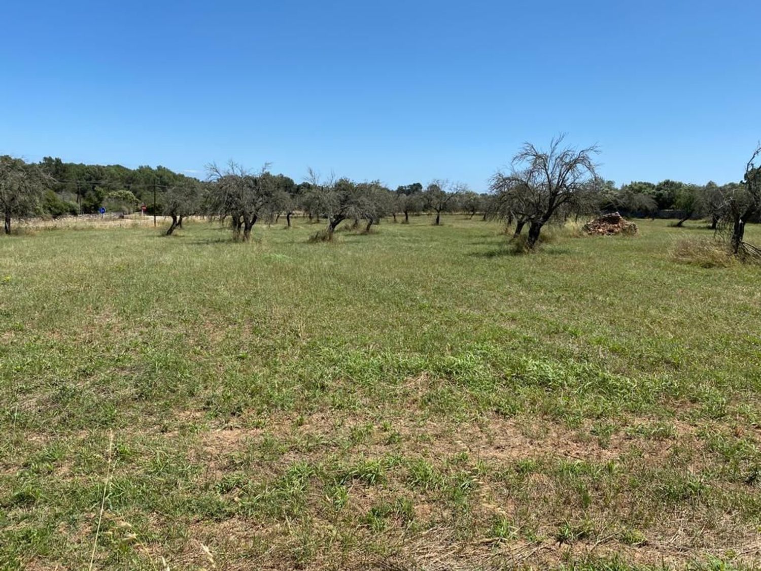 Finca rústica en Lugar Poligono 18, 9 - Foto 6
