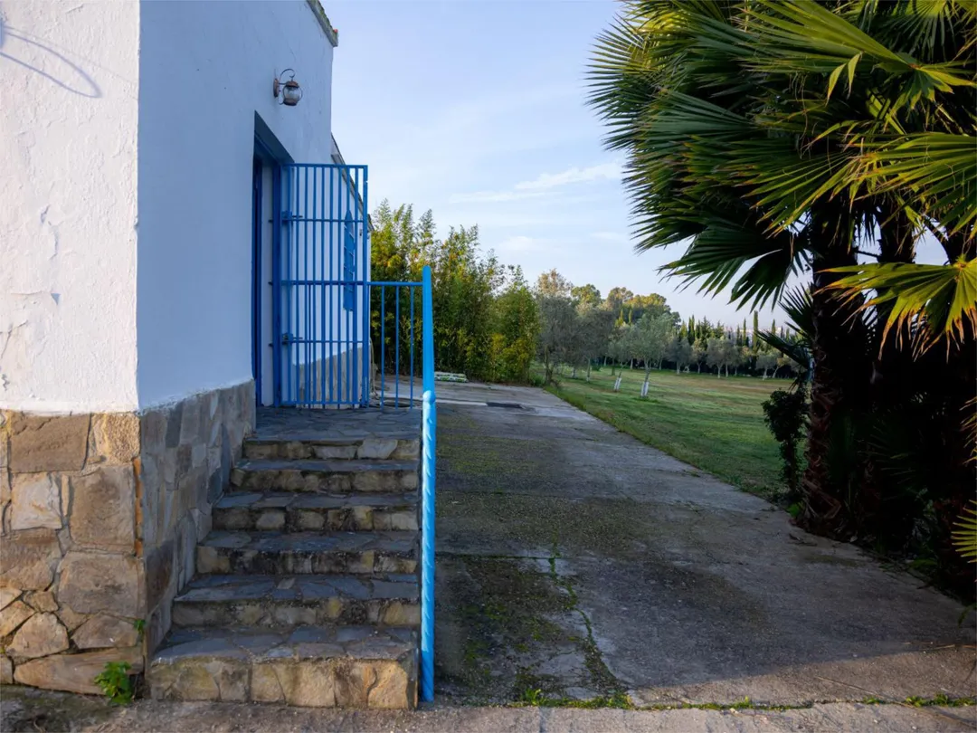 Finca rústica en  Calle Almenara 1 - Foto 3