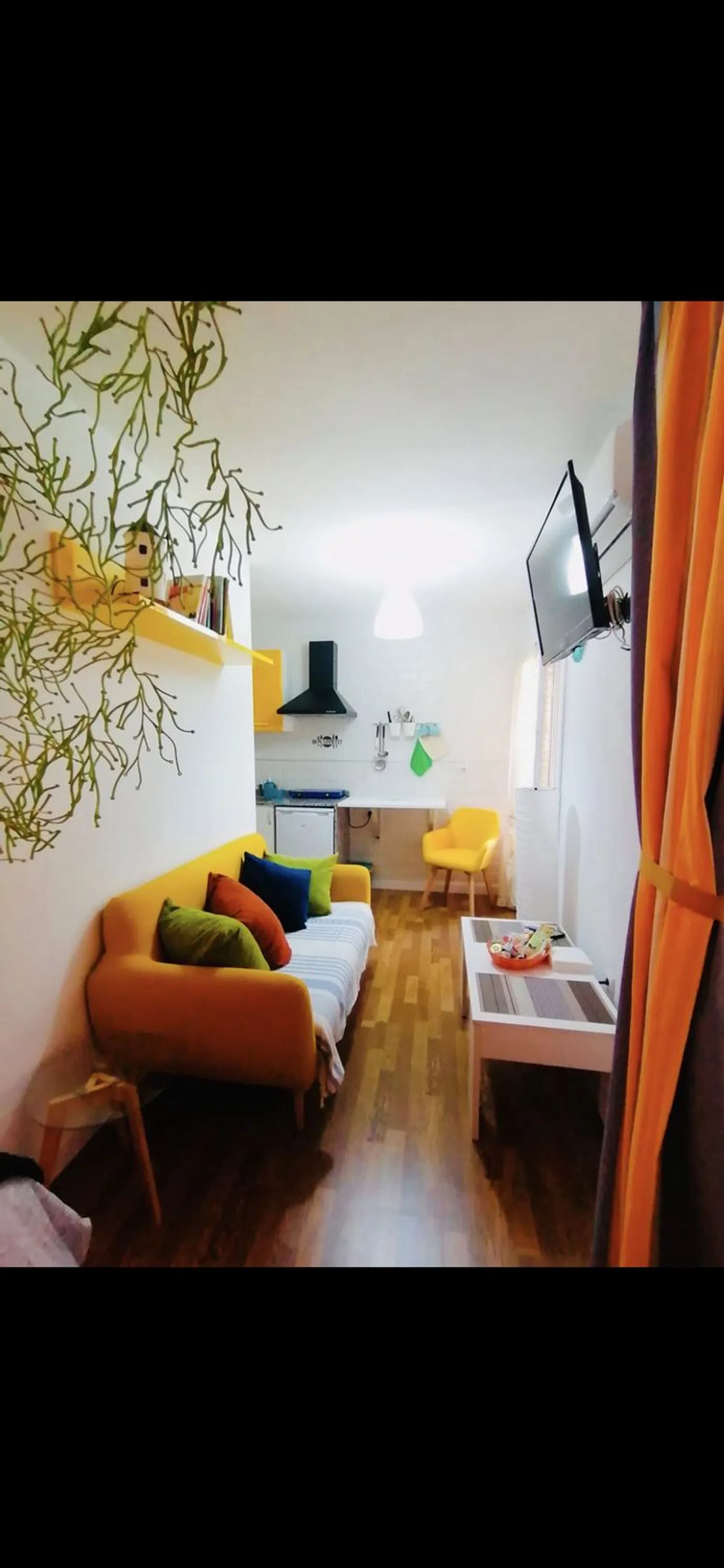 Estudio en calle Maestro Caballero, 53 - Foto 3