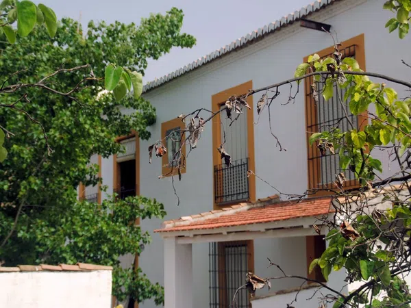 Cortijo en Calle Molino, 1 - Foto 7