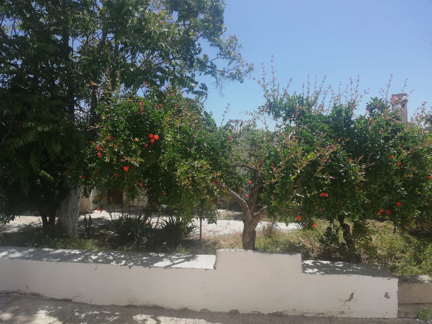 Casa de pueblo en Diseminado los Alias, 7 - Foto 7