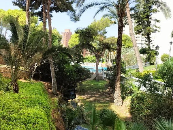 Piso en Avenida de Montecarlo, 26, Zona Sierra Helada - Foto 17