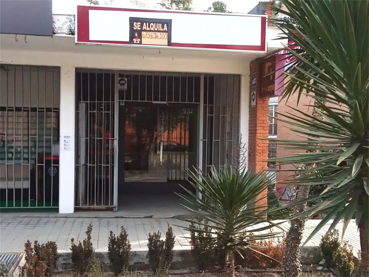 Local comercial en  Avenida del Veinticinco de Septiembre 10 - Foto 3