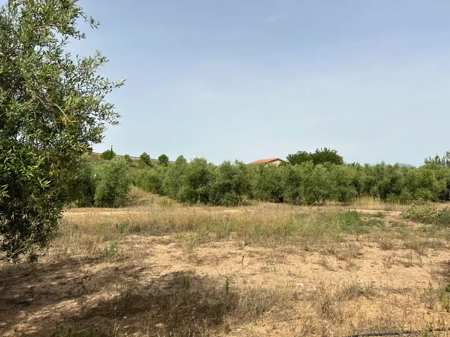 Finca rústica en  Camí de Sant Joan 1 - Foto 12