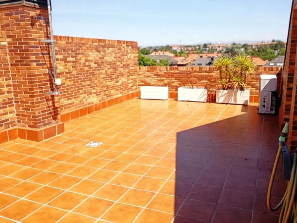 Chalet pareado en Calle Jilguero, Zona Carretera del Plantío - Foto 46
