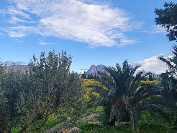 Piso en avenida d'Europa, 51 - Foto 4