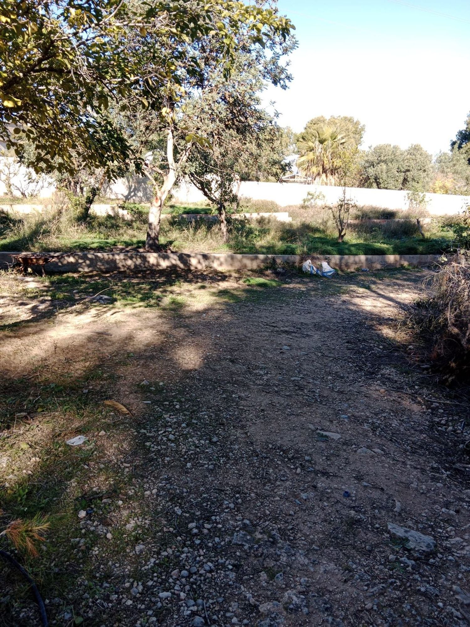 Finca rústica en camino de Bayarri, 92 PoligonoR - Foto 11